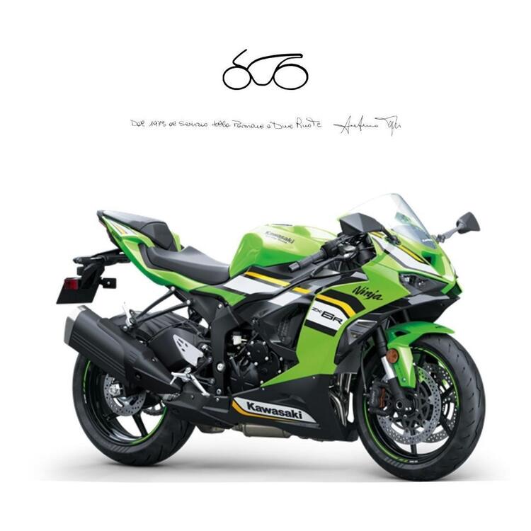 Kawasaki Ninja 636 ZX-6R (2024 - 25)