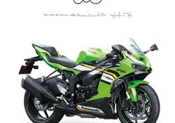 Kawasaki Ninja 636 ZX-6R (2024 - 25) nuova