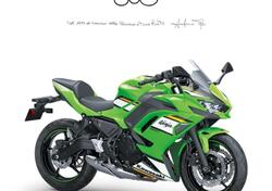 Kawasaki Ninja 650 (2021 - 25) nuova