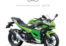 Kawasaki Ninja 500 SE (2024 - 25) nuova