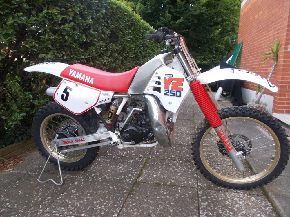 Yamaha YZ (2)