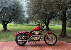 Harley-Davidson 883 Standard (1987 - 93) - XLH usata