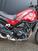 Benelli Leoncino 500 (2021 - 24) (6)