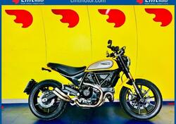 Ducati Scrambler 800 Icon (2017 - 20) usata