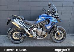 Triumph Tiger 1200 GT Pro (2022 - 23) usata