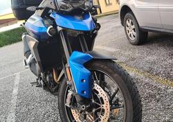 Triumph Tiger 900 GT Pro (2020 - 23) usata