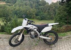 Yamaha YZ 250 F (2013) usata