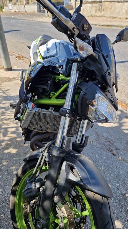 Kawasaki Z 650 (2021 - 25) (4)