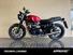 Triumph Speed Twin 900 (2023 - 24) (8)