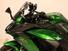 Kawasaki Ninja 1000 SX (2020) (11)