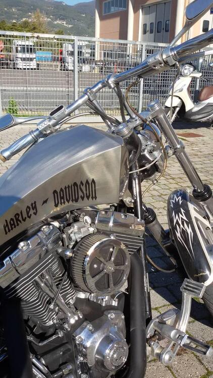 Harley-Davidson 1585 Softail Deluxe (2011) - FLSTN (3)