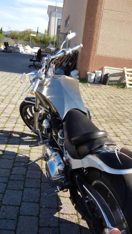 Harley-Davidson 1585 Softail Deluxe (2011) - FLSTN (5)