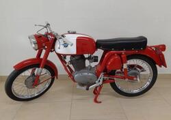 MV Agusta MV Agusta GTE Sport Checca d'epoca