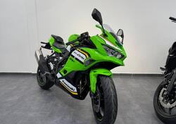 Kawasaki Ninja ZX-4RR (2024 - 25) nuova