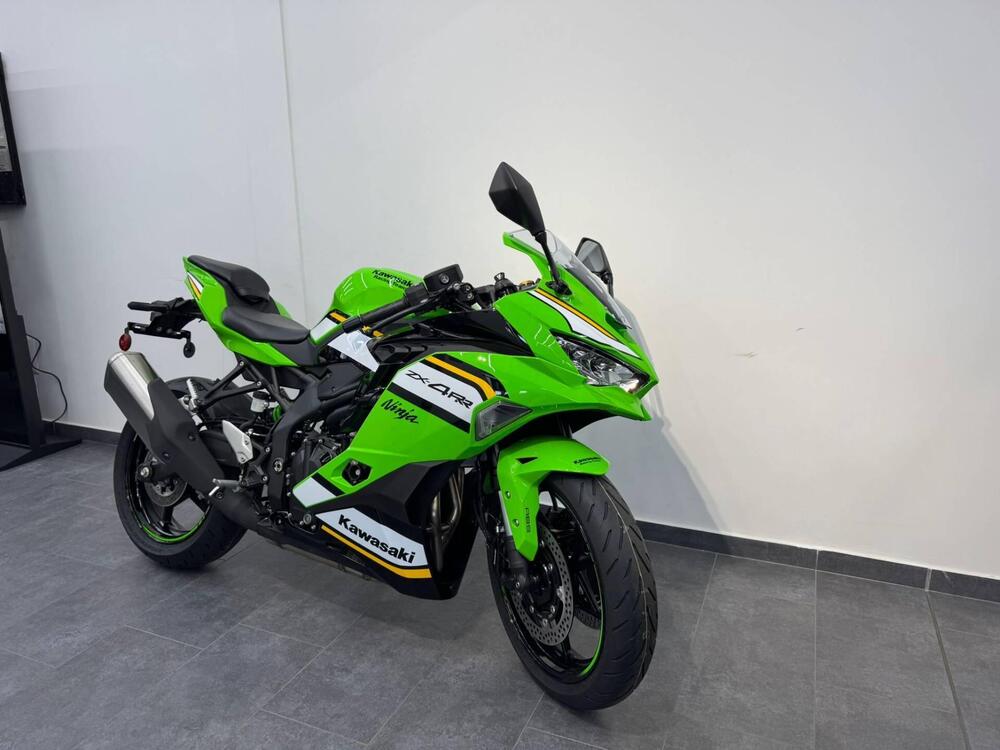 Kawasaki Ninja ZX-4RR (2024 - 25) (4)