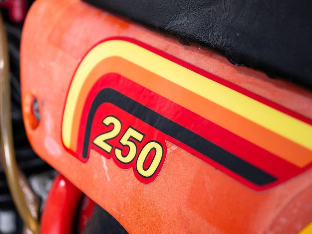 Maico 250 CROSS (5)