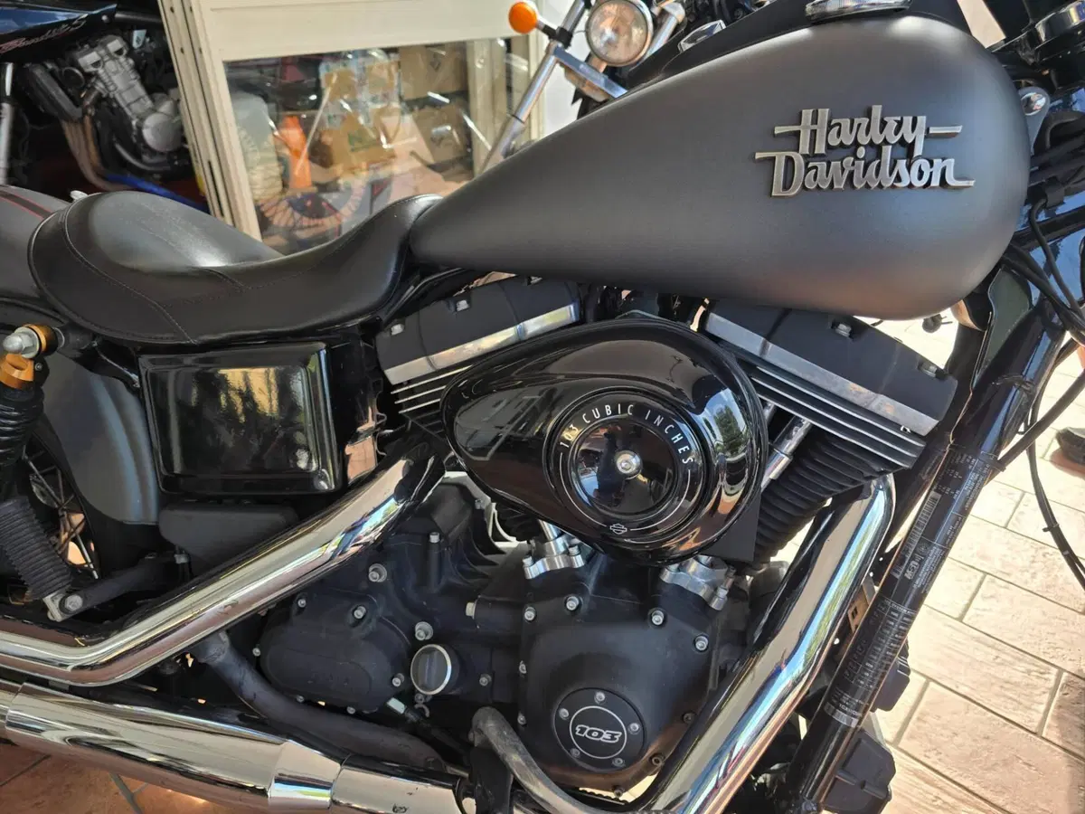 Harley-Davidson 1690 Street Bob (2017) - FXDB (12)