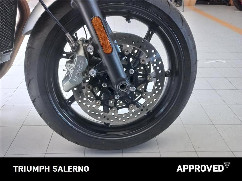 Triumph Speed Twin 1200 (2019 - 20) (5)