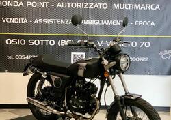 Mash Italia Fifty 50 (2021 - 24) usata