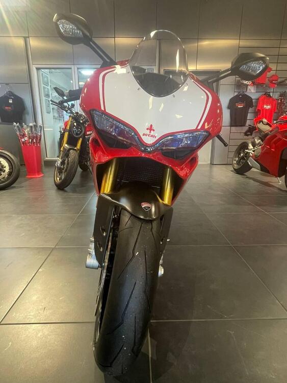 Ducati 1199 Panigale R ABS (2013 - 17) (3)