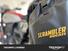 Ducati Scrambler 800 Icon (2023 - 24) (8)