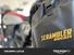 Ducati Scrambler 800 Icon (2023 - 24) (8)