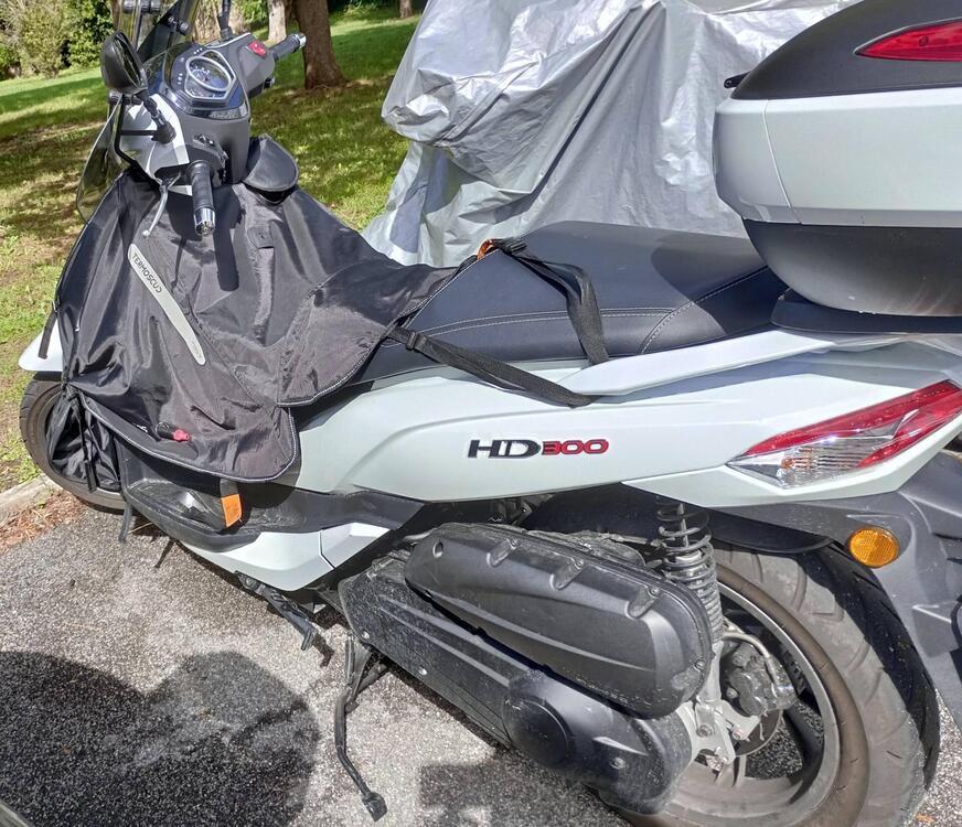 Sym HD 300 (2021 - 24) (3)