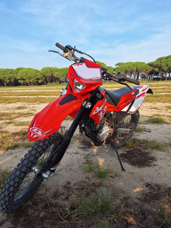 Betamotor RR 125 4T Enduro LC (2010 - 15) (3)