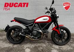 Ducati Scrambler 800 Icon (2015 - 16) usata