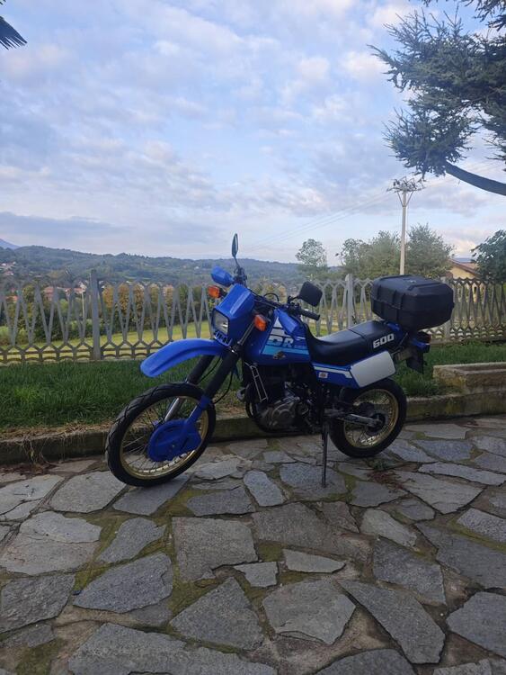 Suzuki DR 600 S (4)