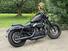 Harley-Davidson 1200 Forty-Eight (2010 - 15) (13)