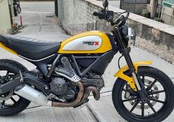 Ducati Scrambler 800 Icon (2015 - 16) usata