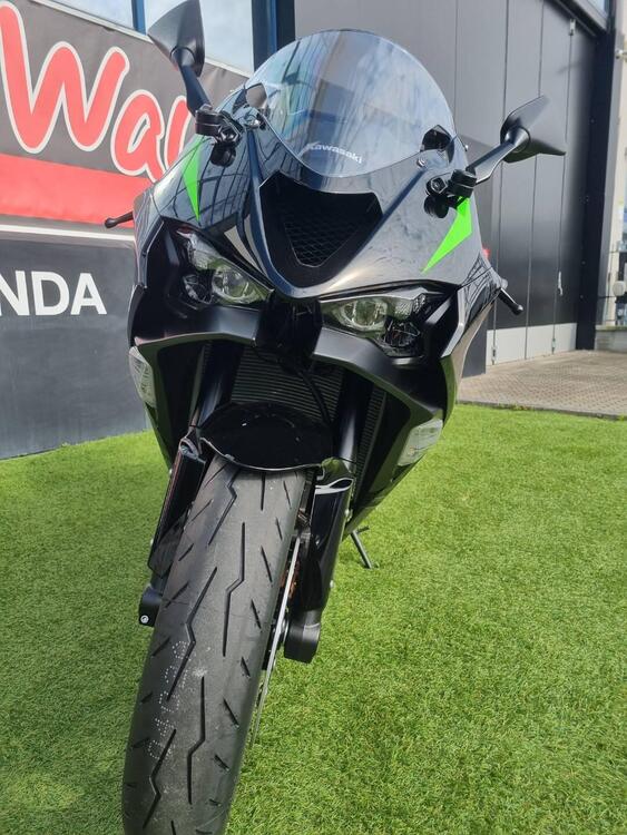 Kawasaki Ninja 636 ZX-6R (2024 - 25) (2)