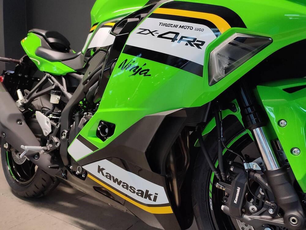 Kawasaki Ninja ZX-4RR (2024 - 25) (5)