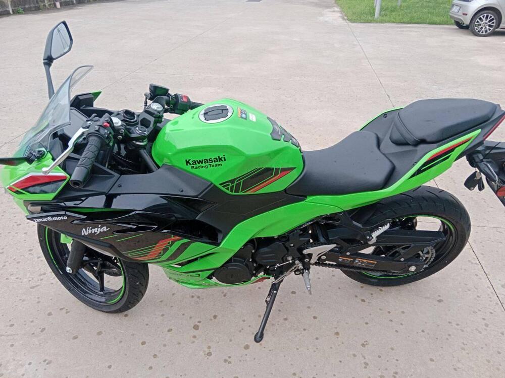 Kawasaki Ninja 500 SE (2024 - 25) (3)