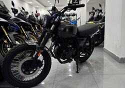 Brixton Motorcycles Cromwell 250 (2021 - 24) usata