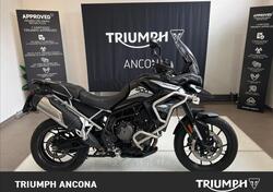 Triumph Tiger 900 GT (2020 - 23) usata