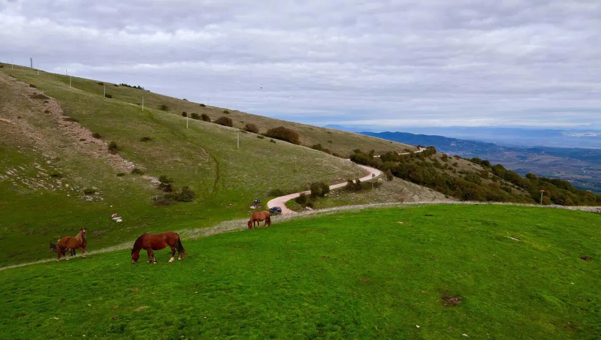 Adventure in Umbria da inviato di Moto.it! Ecco com'è andata all'Umbria Gran Tour - Waypoint Trophy [VIDEO] (9)