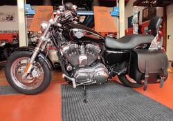 Harley-Davidson 1200 Custom ABS (2014 - 16) - XL 1200C usata