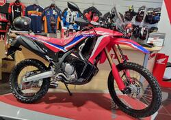 Honda CRF 300 Rally (2021 - 24) nuova