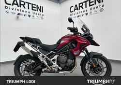 Triumph Tiger 1200 GT Pro (2024) usata