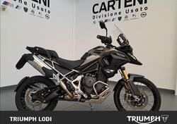 Triumph Tiger 1200 Rally Pro (2024) usata