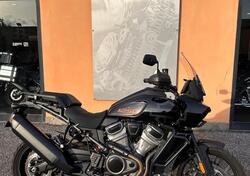 Harley-Davidson Pan America 1250 Special (2020 - 24) usata