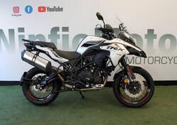 Benelli TRK 502X (2021 - 25) nuova