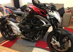 MV Agusta Brutale 800 RR (2017 - 20) usata