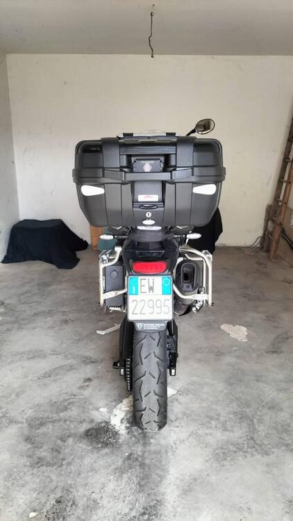 Triumph Tiger 900 Rally Pro (2020 - 23) (5)