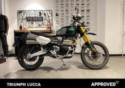 Triumph Scrambler 1200 Steve McQueen Edition (2021 - 22) usata