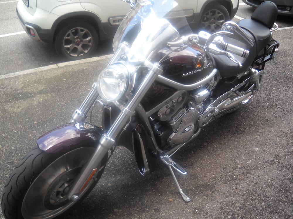 Harley-Davidson 1130 V-Rod (2002 - 05) - VRSCA