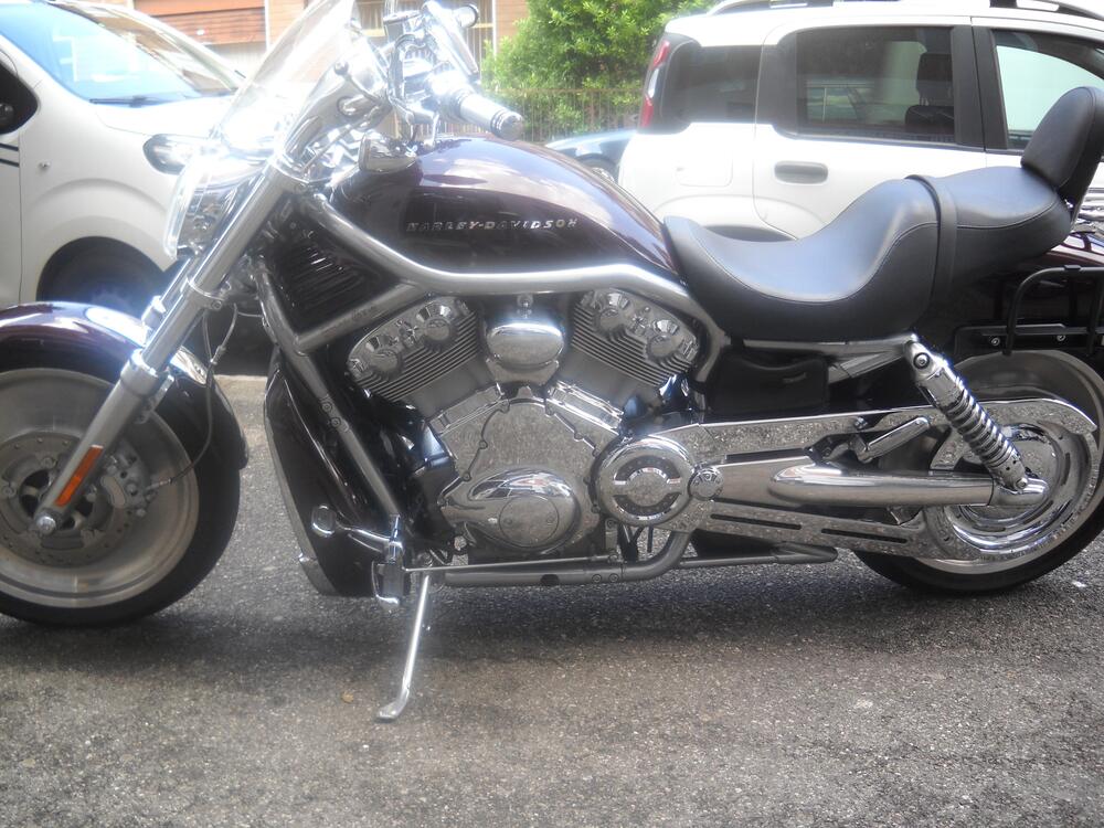 Harley-Davidson 1130 V-Rod (2002 - 05) - VRSCA (2)