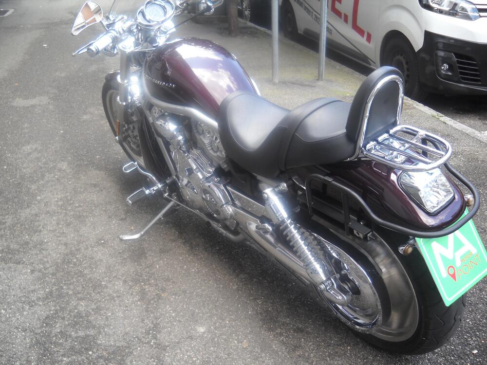 Harley-Davidson 1130 V-Rod (2002 - 05) - VRSCA (3)